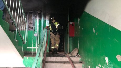 В 5-м Виноградном проезде в Пензе случился пожар