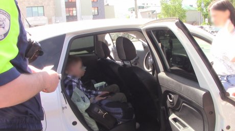 В Пензе за отсутствие детских кресел наказали более 100 водителей