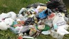 Жителю Городищенского района дорого обошелся выброшенный мусор
