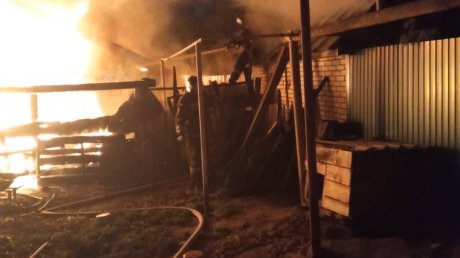 В Кузнецке из-за пожара во дворе едва не сгорел дом