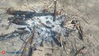 В Пензенской области введен особый противопожарный режим