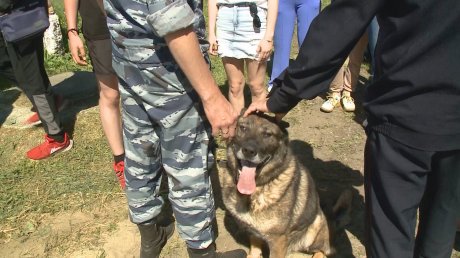 Полицейские показали школьникам, как работают служебные собаки