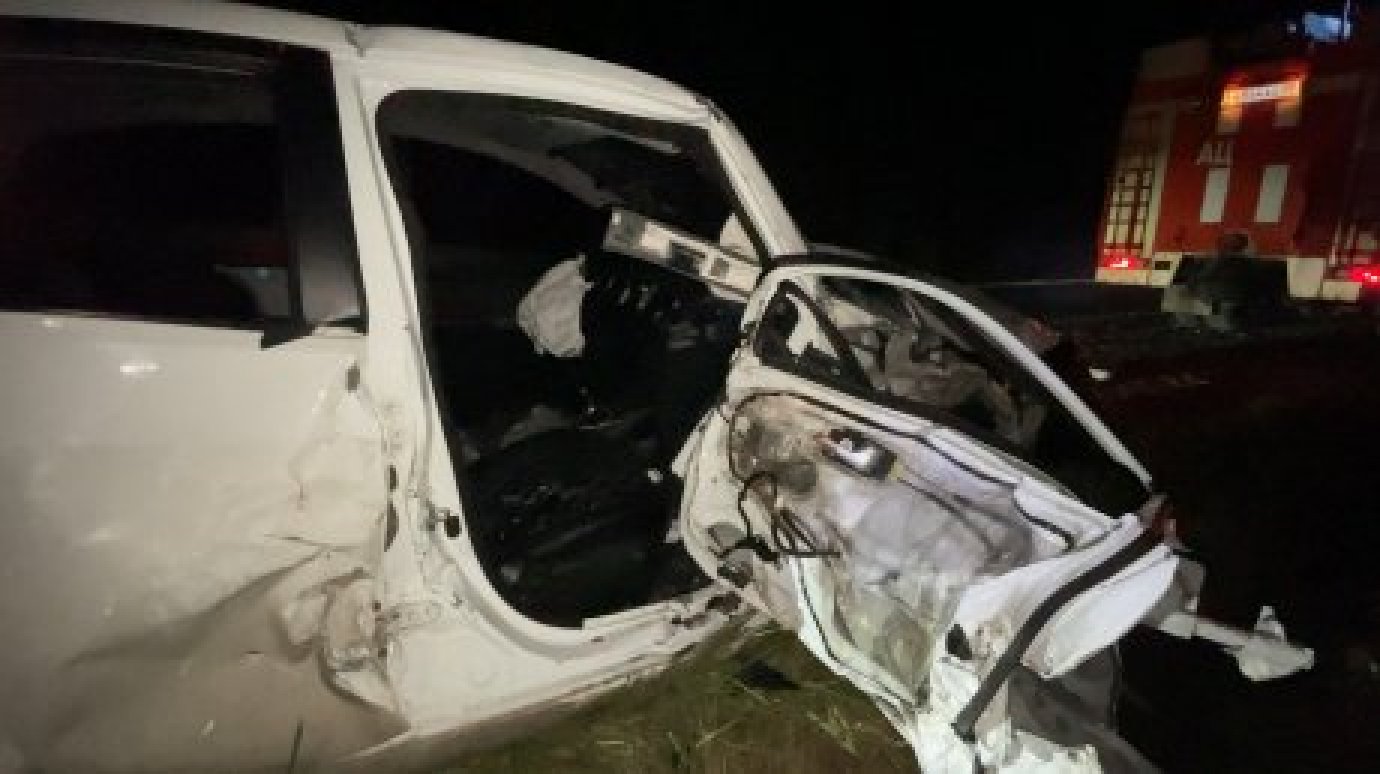 Житель Наровчатского района сел пьяным за руль и покалечил 3 человек