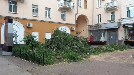 В Пензе снесли деревья около памятника «Покаяние»