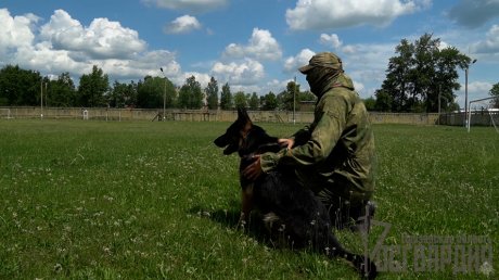 Зареченские кинологи показали выучку своих четвероногих помощников