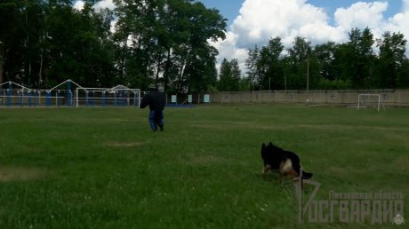 Зареченские кинологи показали выучку своих четвероногих помощников