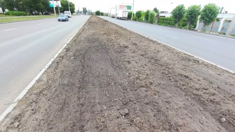 Вдоль дороги на улице Чаадаева обновят газон