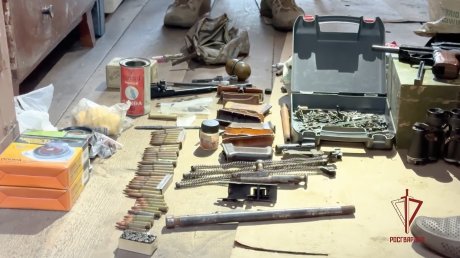 У жителя Лопатинского района нашли арсенал оружия