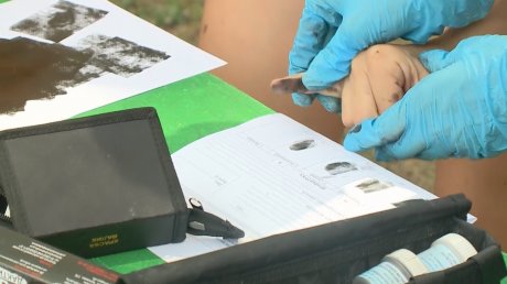 К отдыхающим в лагере «Солнечная поляна» приехали полицейские