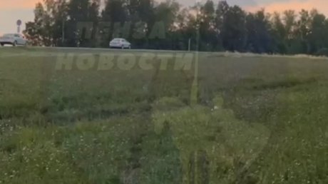 В Пензенском районе «Приора» врезалась в дерево и запылала