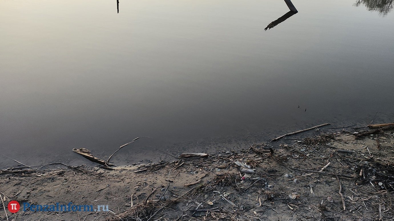 В Лопатинском районе ребенок погиб, запутавшись в водорослях