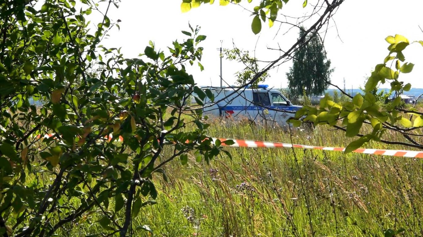 Пензенец нашел на огороде столетний боеприпас