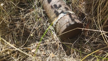 Пензенец нашел на огороде столетний боеприпас