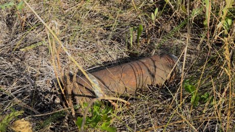 Пензенец нашел на огороде столетний боеприпас