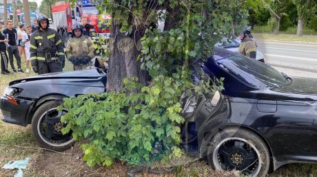 На улице Аустрина автомобиль въехал в дерево, есть пострадавшие