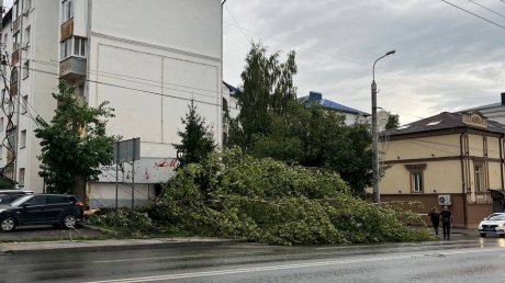 Затопило улицы, повалило деревья: на Пензу обрушилась непогода