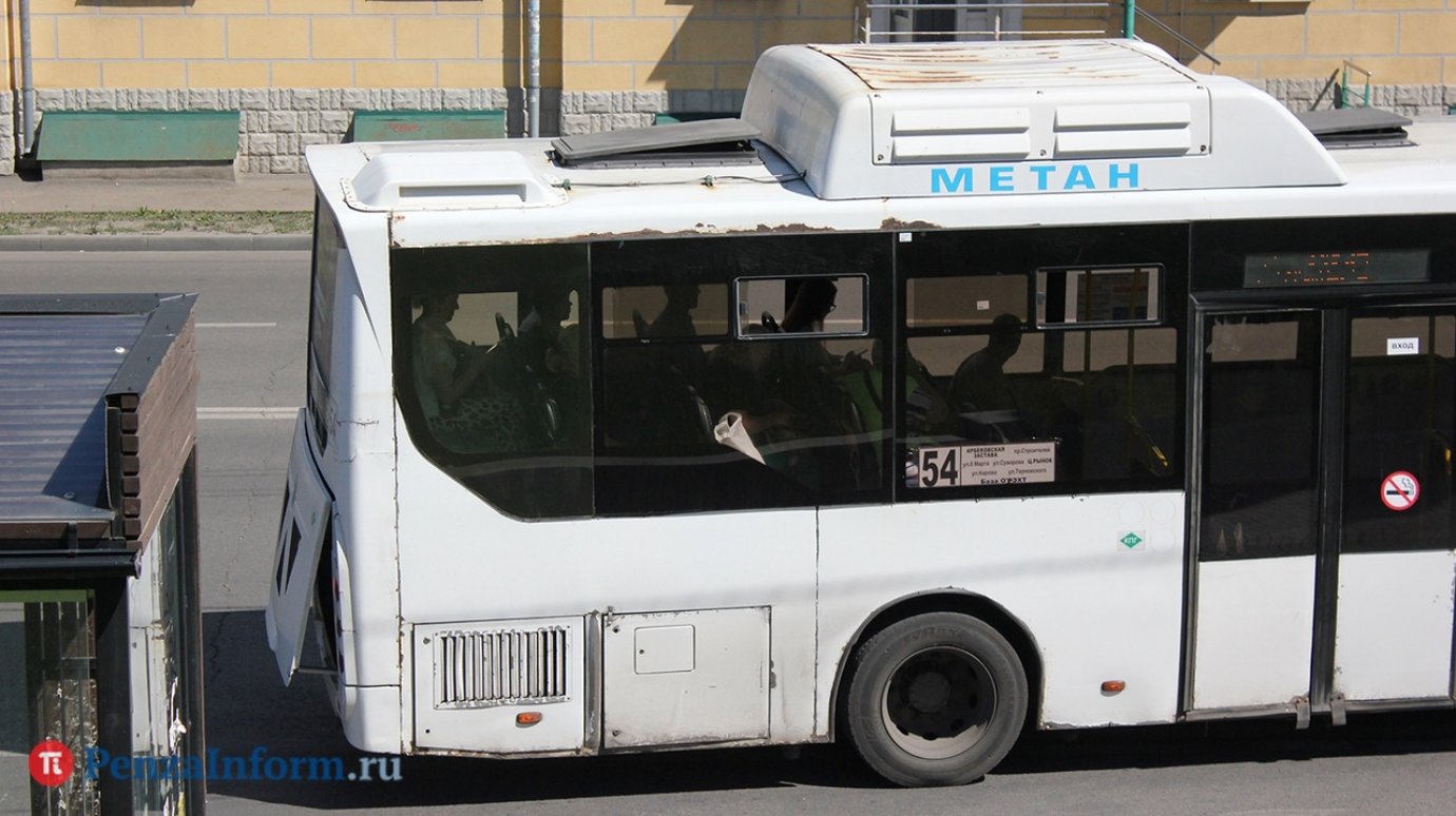 С 1 сентября одну категорию «зайцев» запретят высаживать из транспорта