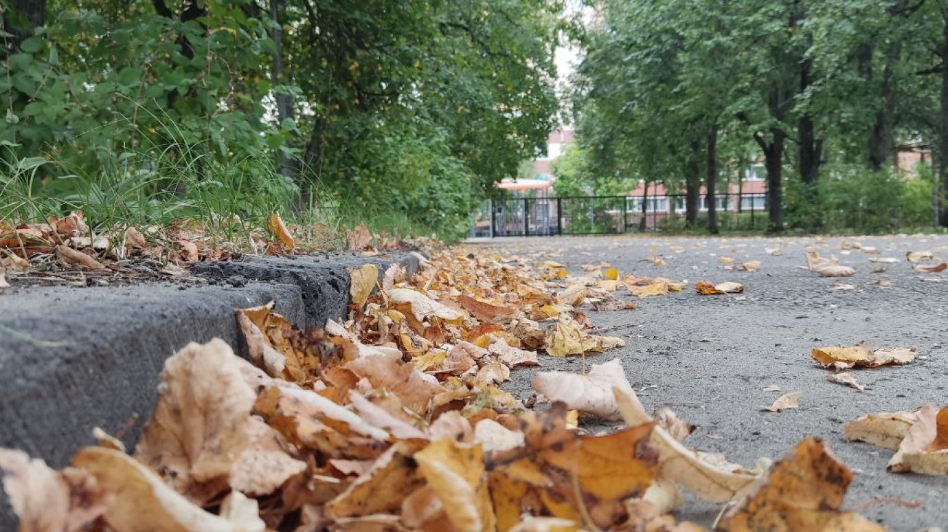 Ночью в Пензенской области похолодает до +2 градусов