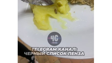 Столовую колледжа в Пензе проверили после жалоб на компот с белком