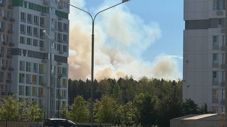 В МЧС рассказали о крупном пожаре в Междуречье