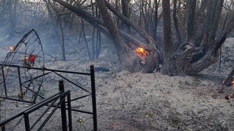 В Пензенской области за сутки случилось 50 пожаров