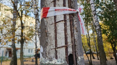 У входа в детскую поликлинику на улице Мира разрушается столб