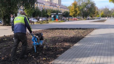 В Пензе клумбы опустели в преддверии холодов