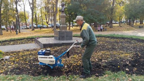 В Пензе клумбы опустели в преддверии холодов