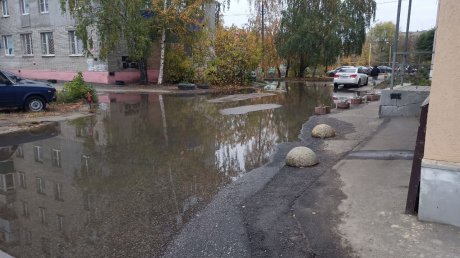 На ул. Чаадаева водой из-под асфальта затопило два двора