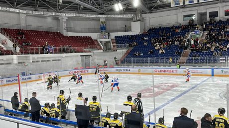 Пензенский «Дизель» на своем льду одолел ХК «СКА-Нева»