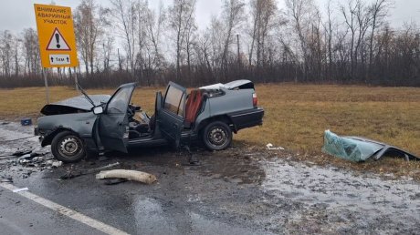 Появились новые кадры с места смертельного ДТП под Каменкой