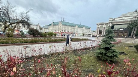 В Пензе окончилась высадка деревьев и кустарников