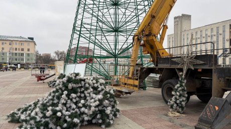 В Пензе собрали каркас главной городской елки