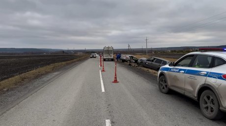 Появились новые кадры с места трагедии в Кузнецком районе