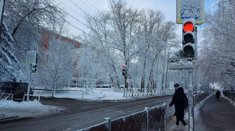 В Пензе светофоры и дорожные знаки залепило снегом