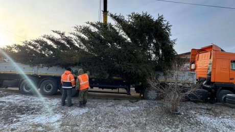 В Кузнецке установили главную городскую елку