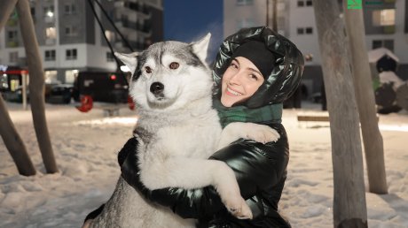 Пензенцев ждут на «Территории чудес» в «Арбековской заставе»