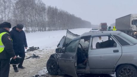 Появились новые кадры с места трагедии в Мокшанском районе