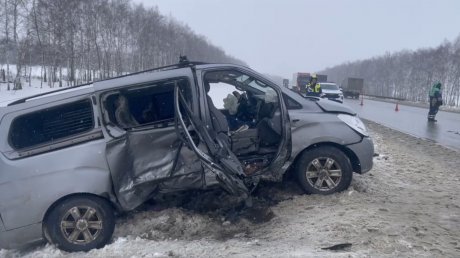 Появились новые кадры с места трагедии в Мокшанском районе