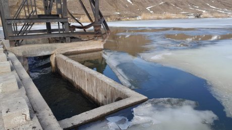 В Сердобске круглосуточно следят за уровнем воды в реке