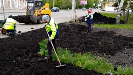 В Пензе клумбы заполняются цветами и кустарниками