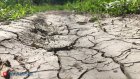 Засуха грядет. Май будет ласковым, а июнь - жарким