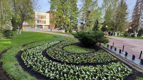 В Пензе у Монумента воинской и трудовой славы высадили цветы