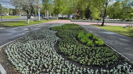 В Пензе у Монумента воинской и трудовой славы высадили цветы