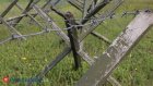 Солдата из ЛНР задержали по подозрению в расправе над сослуживцами