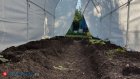 Россиянам назвали грозящие уголовным наказанием грибы и растения на дачах