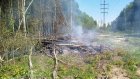 В Заречном впервые в этом году загорелась хвойная подстилка