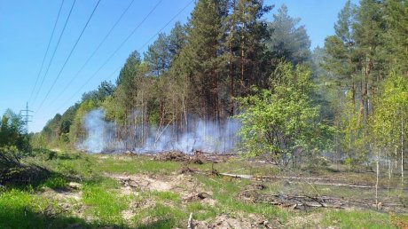 В Заречном впервые в этом году загорелась хвойная подстилка