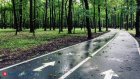 8 мая пензенцам пообещали дождь и ветер