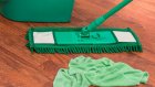 10 мая - неофициальный праздник любителей чистоты